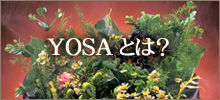 YOSAとは？