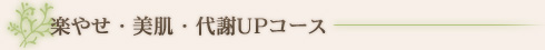 楽やせ・美肌・代謝ＵＰコース