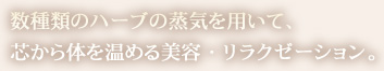 数種類のハーブの上記を用いて、心から体を温める美容、リラクゼーション