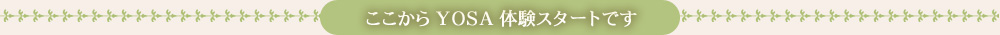 ここからYOSA体験スタートです