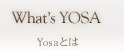 Yosaとは